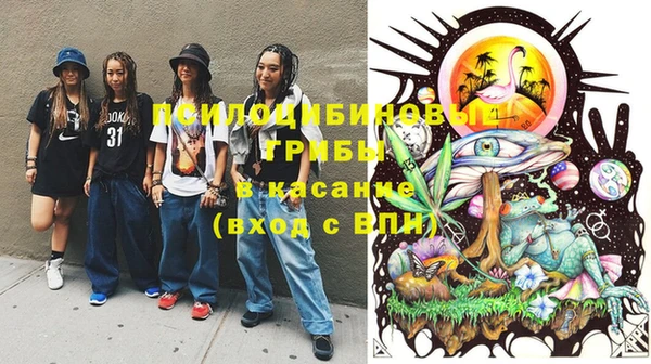 тгк Белокуриха