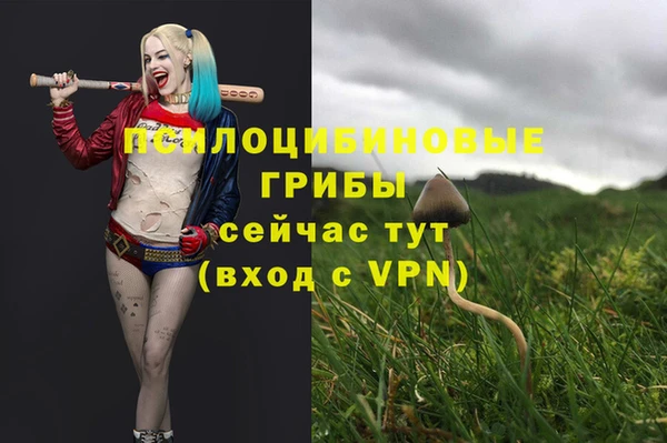 ешки Беломорск