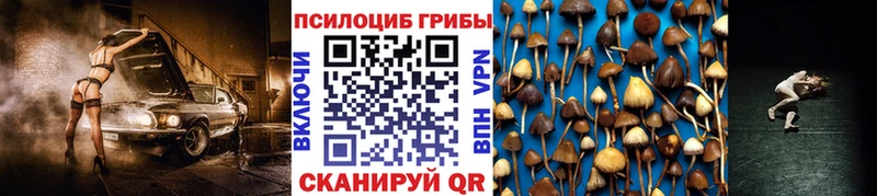 Галлюциногенные грибы ЛСД Мыски