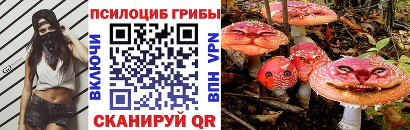 Псилоцибиновые грибы ЛСД  Мыски 